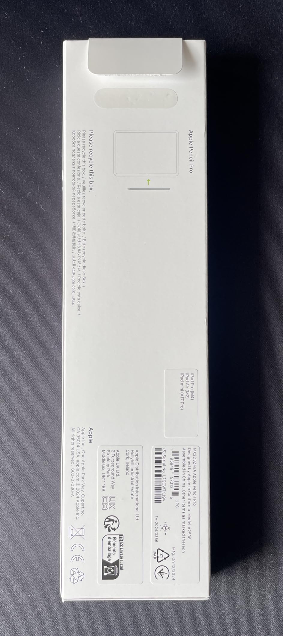 Apple Pencil Pro penna iPad ricarica wireless