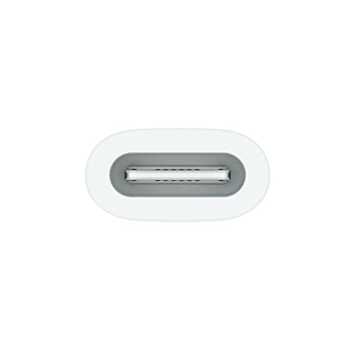 Apple adattatore USB-C Apple Pencil ricarica 1 gen