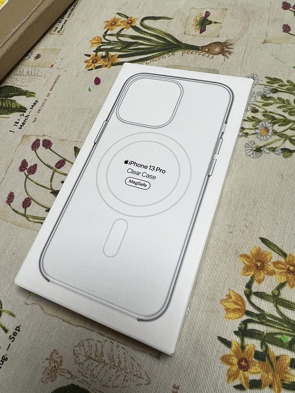 Apple Custodia MagSafe Trasparente iPhone 13 Pro