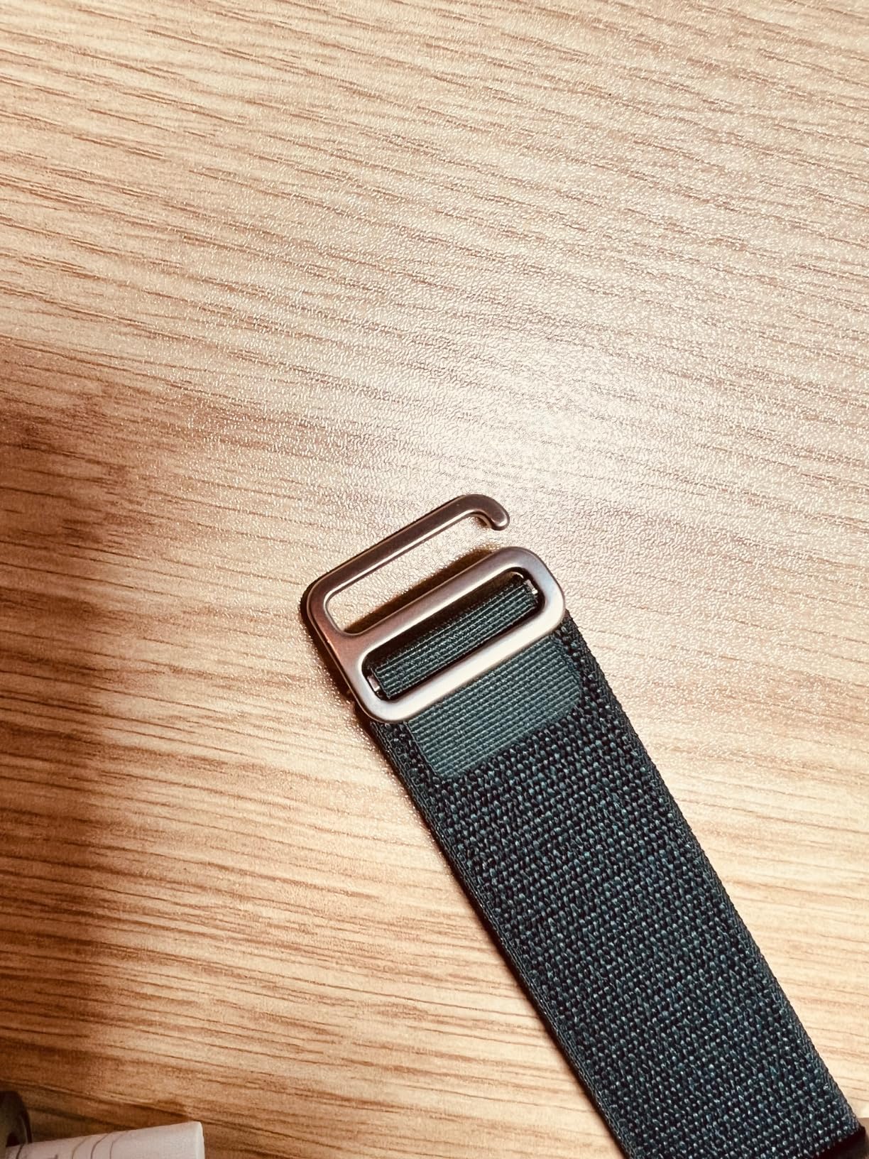 Apple Watch Alpine Loop 49mm cinturino blu chiaro S