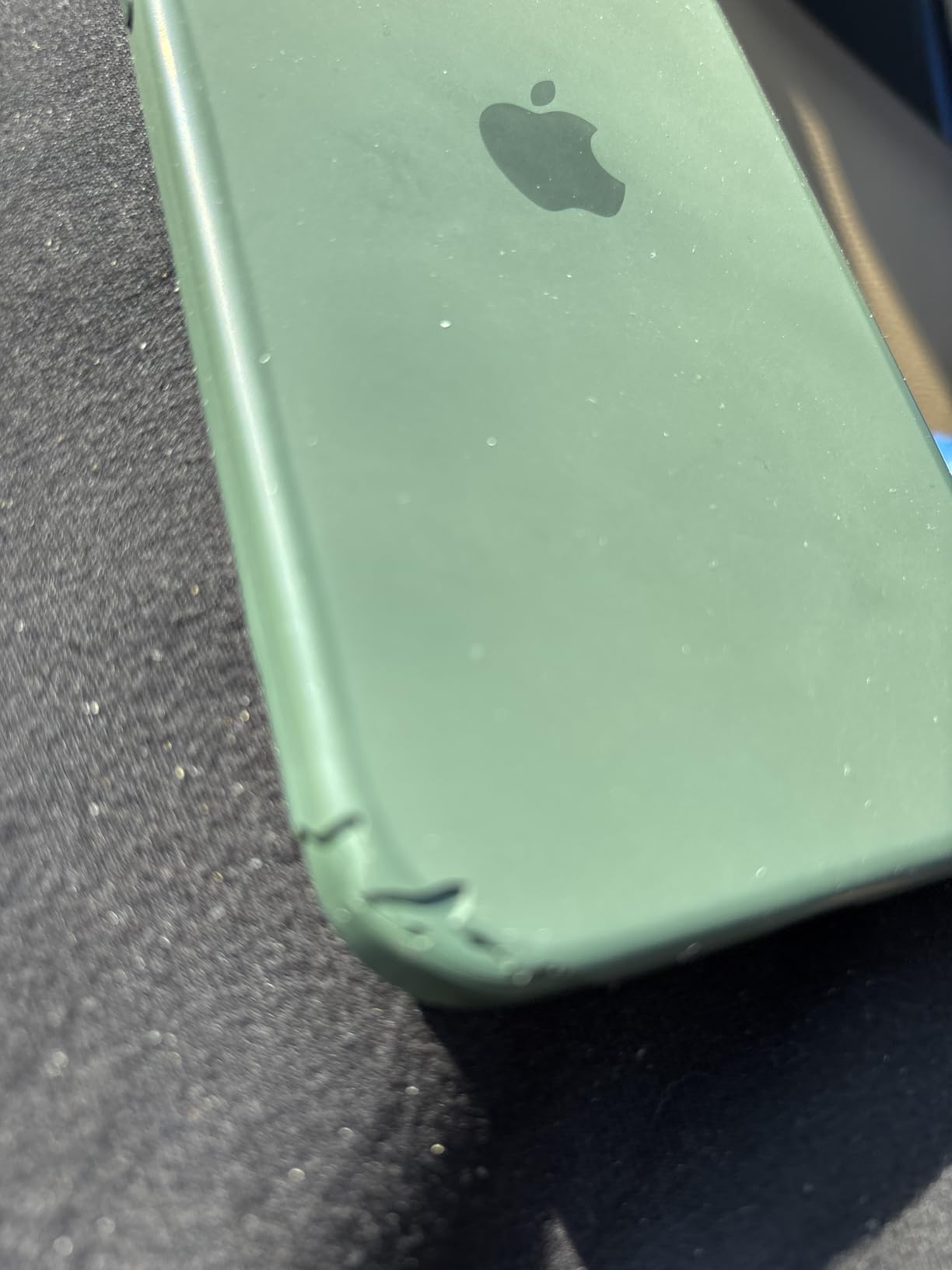 Apple Custodia MagSafe silicone iPhone 15 Plus cover cipresso