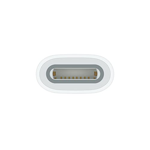 Apple adattatore USB-C Apple Pencil ricarica 1 gen