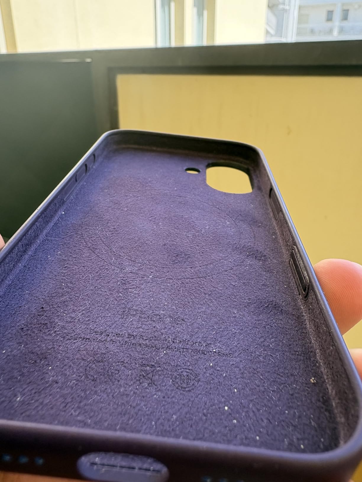 Apple Custodia MagSafe cover iPhone 16 Pro trasparente