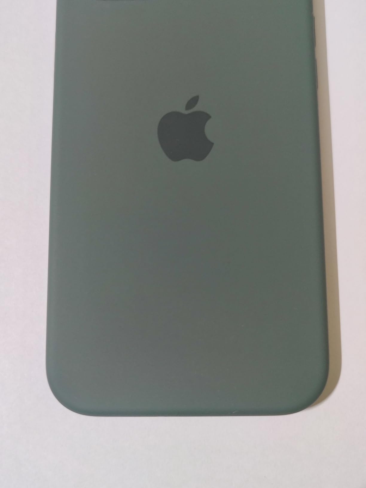 Apple Custodia MagSafe silicone iPhone 15 Plus cover cipresso