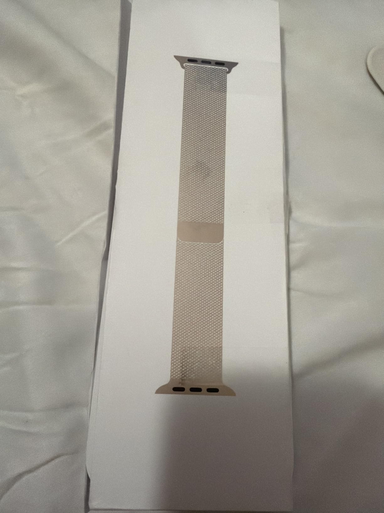 Apple Maglia Milanese 42 mm cinturino naturale acciaio