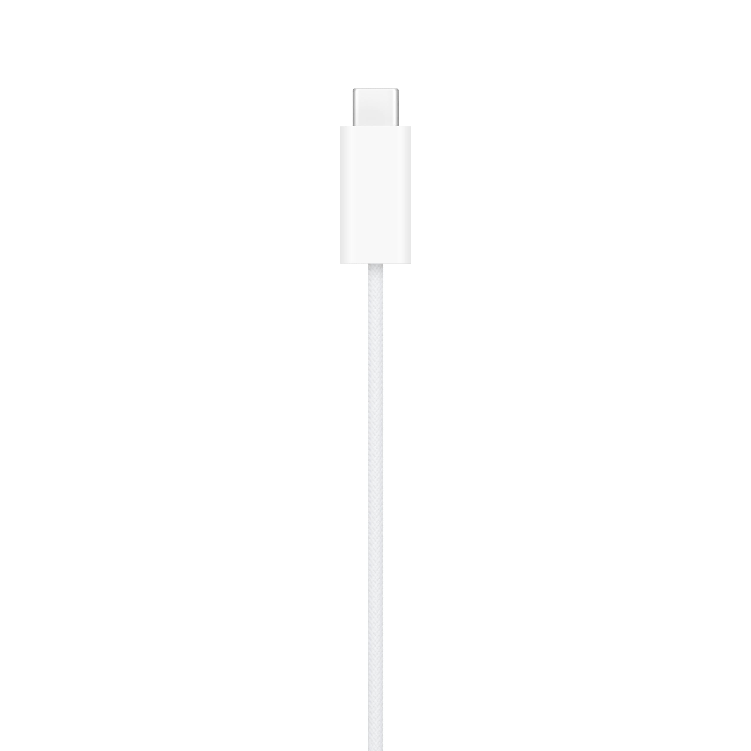 Apple Cavo magnetico USB-C ricarica rapida smartwatch 1 m