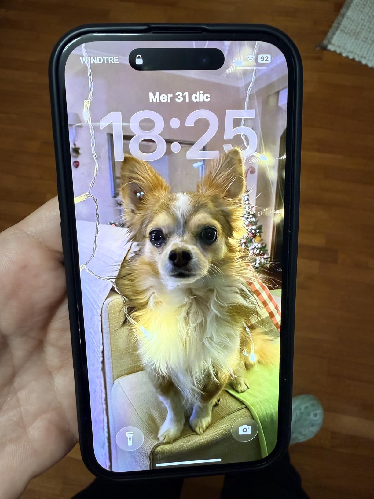 Apple iPhone 15 smartphone 128GB azzurro 48MP