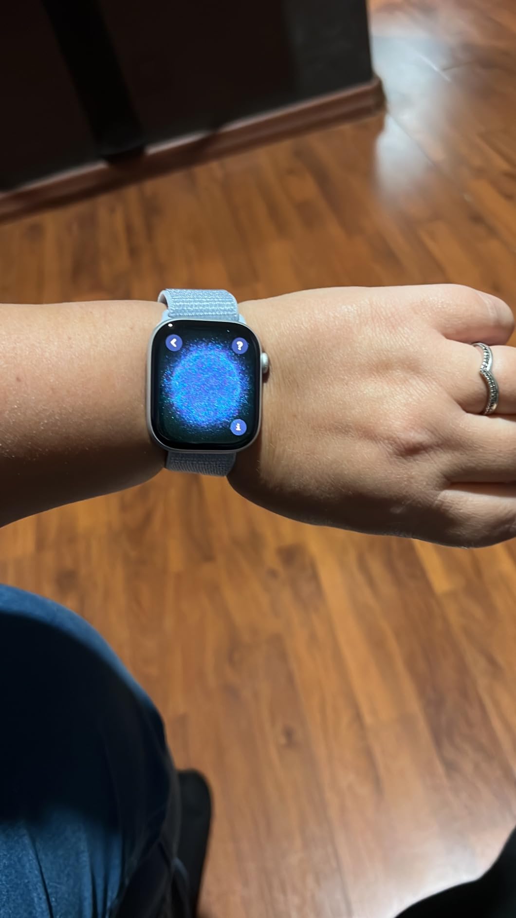 Apple Series 10 GPS Cellular 46mm smartwatch argento loop nuvola