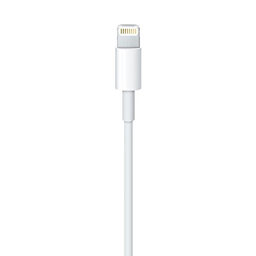 Apple Cavo Lightning USB 2m per iPhone iPad