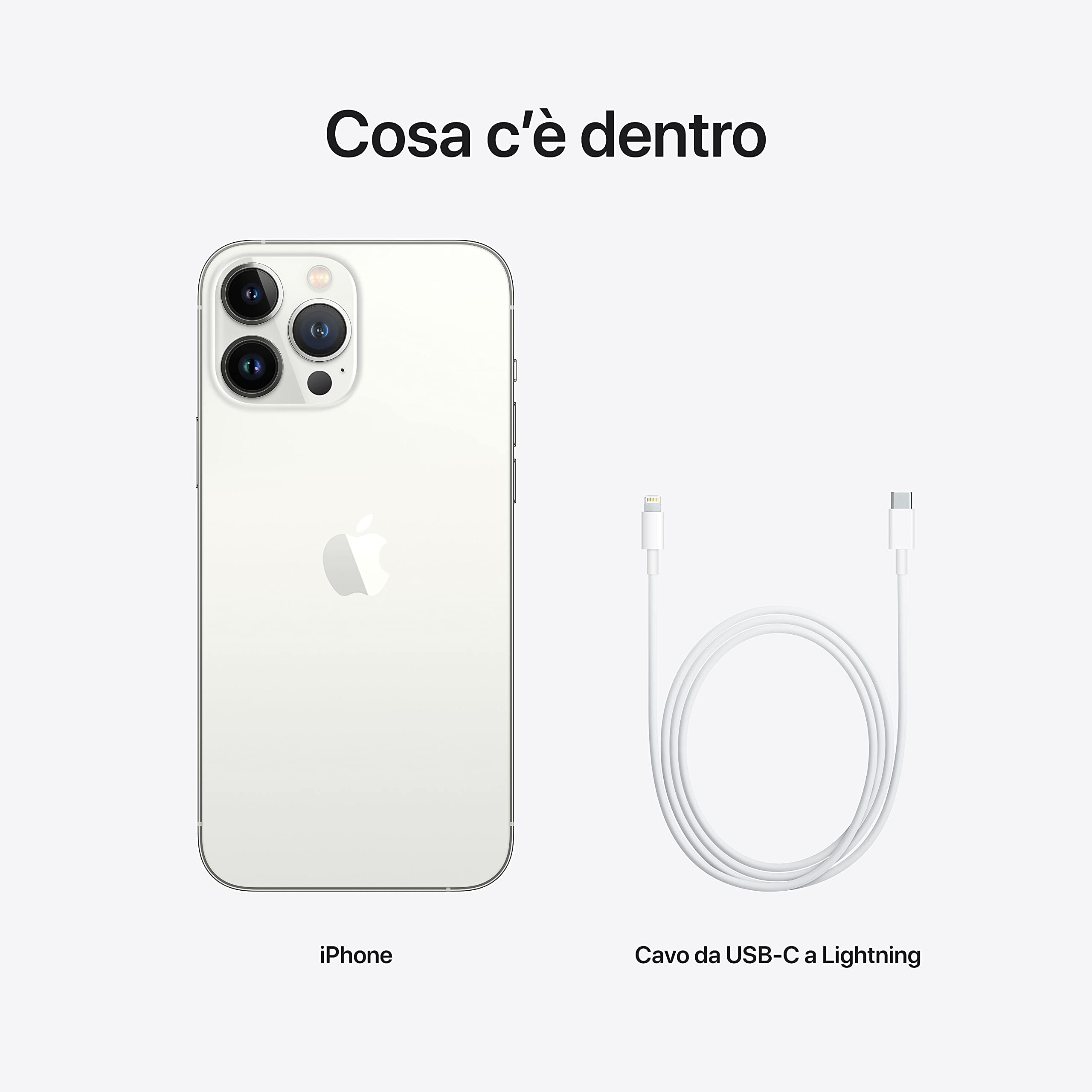 Apple iPhone 13 Pro Max smartphone 1TB Argento ricondizionato