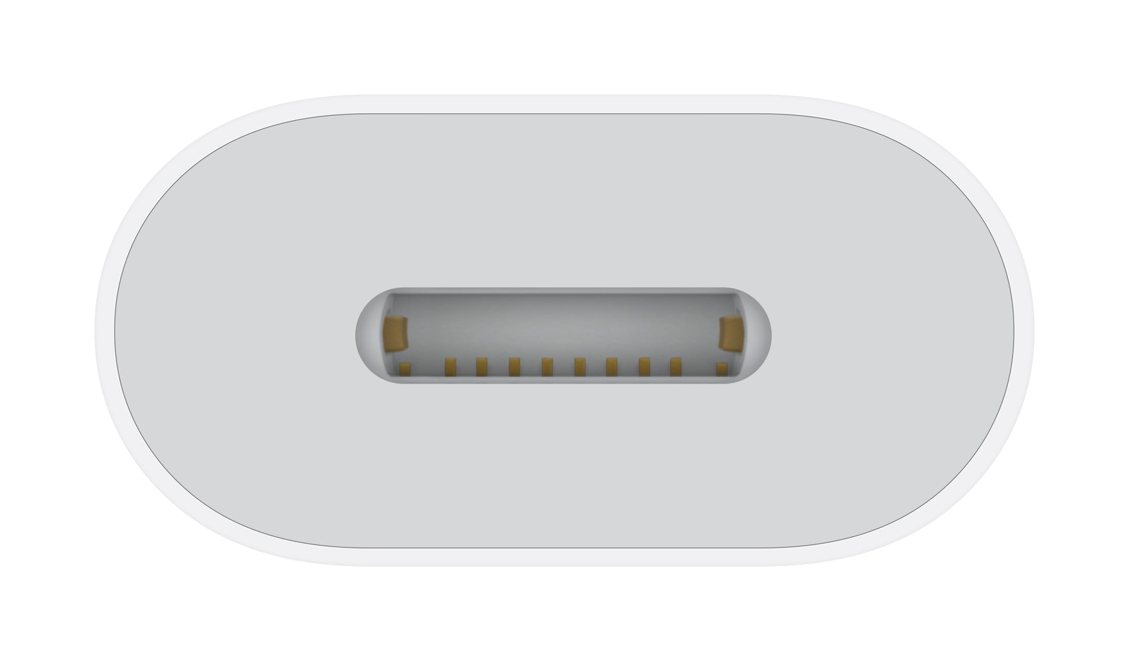 Apple adattatore USB-C a Lightning con cavo intrecciato