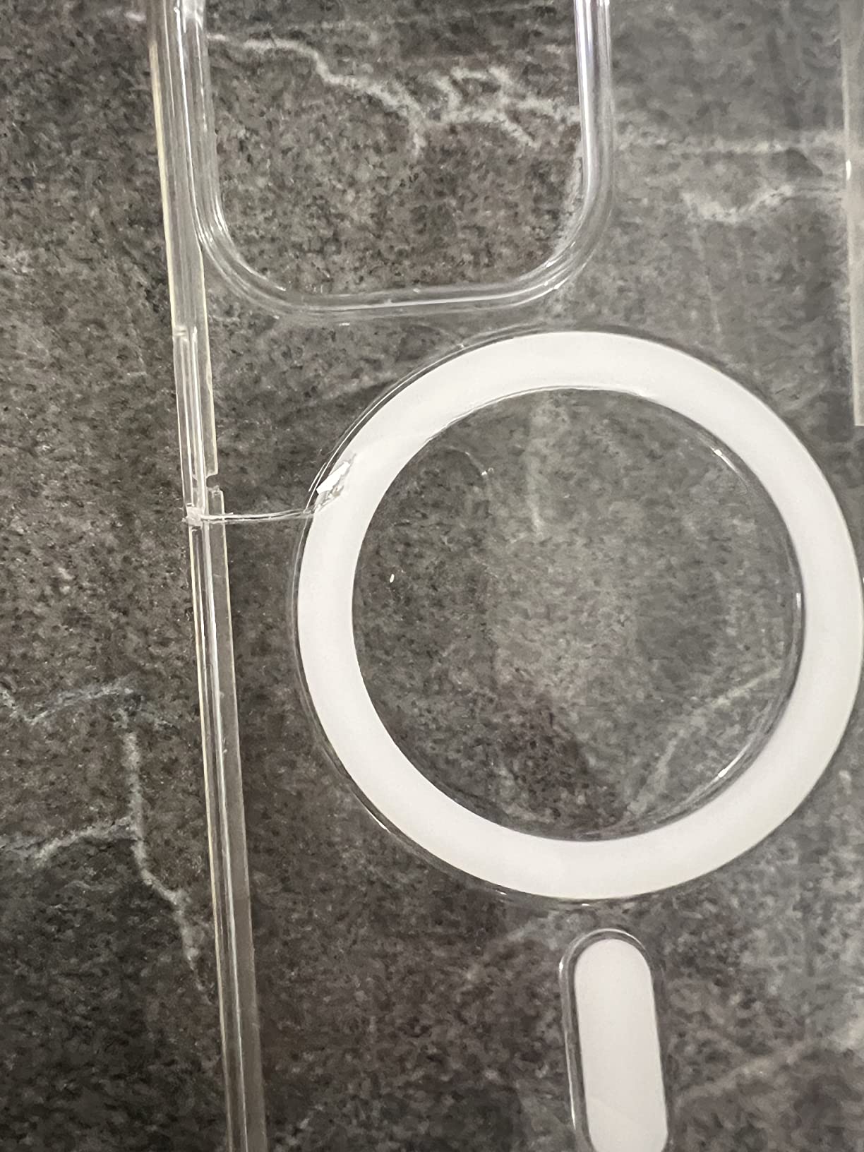 Apple Custodia MagSafe Trasparente iPhone 13 Pro