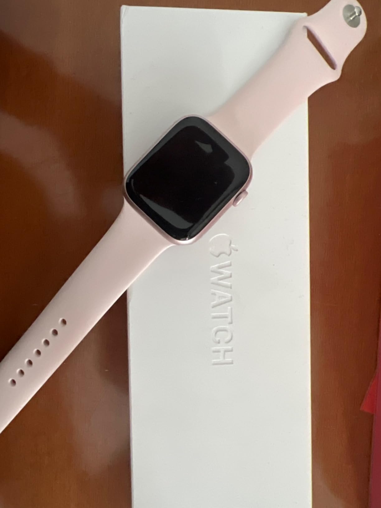 Apple Watch Series 9 GPS Cellular 45mm smartwatch argento ECG