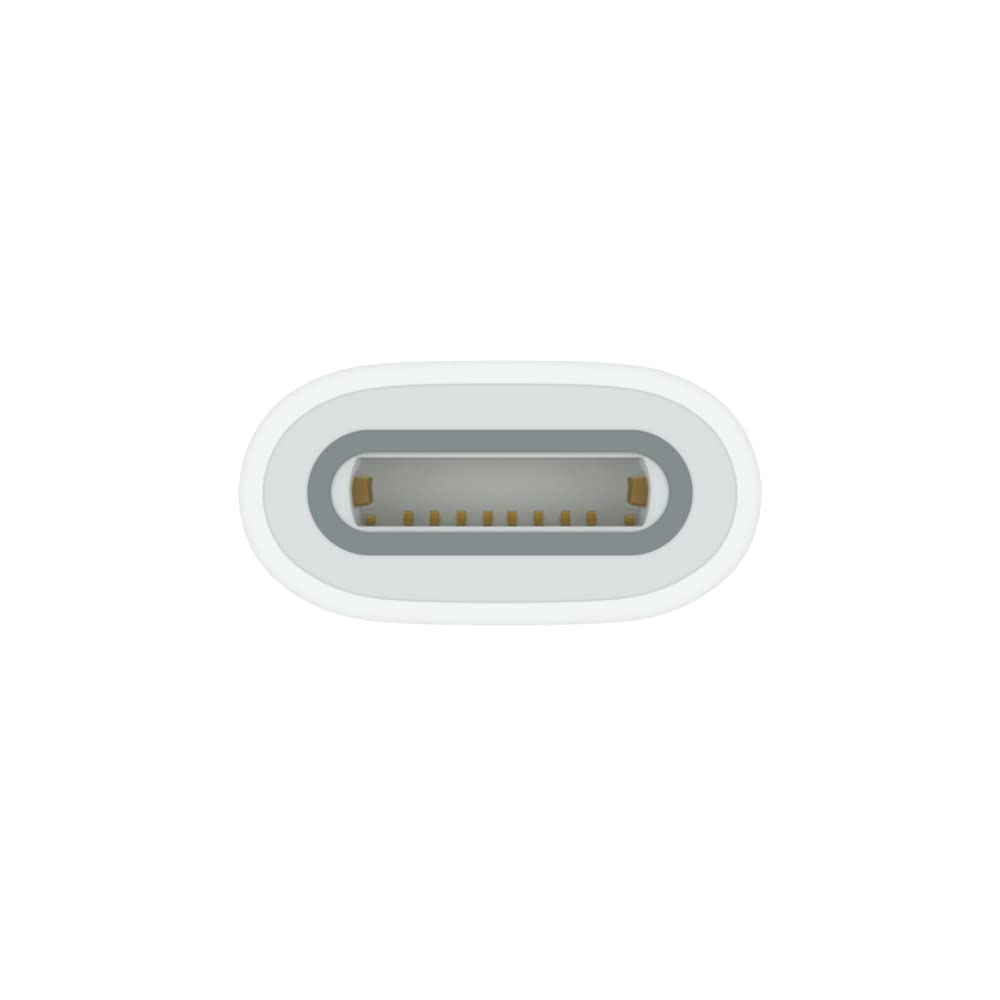 Apple adattatore USB-C Apple Pencil ricarica 1 gen