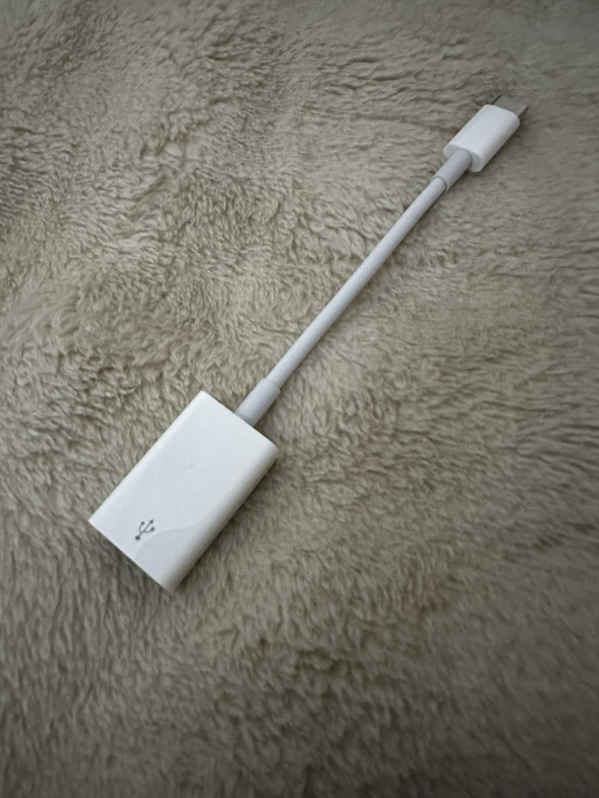 Apple adattatore da USB-C a USB per Mac e iPhone