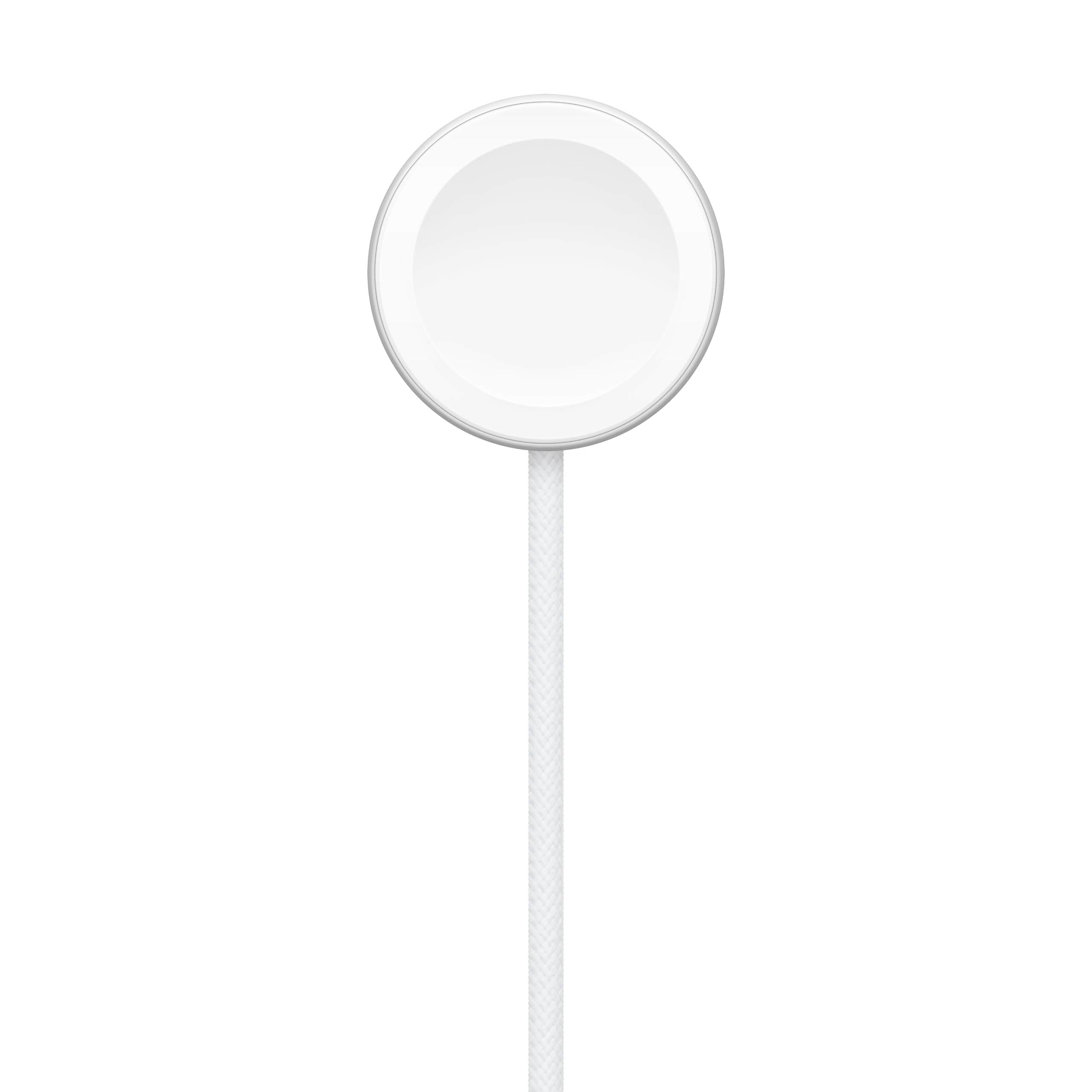Apple Cavo magnetico USB-C ricarica rapida smartwatch 1 m