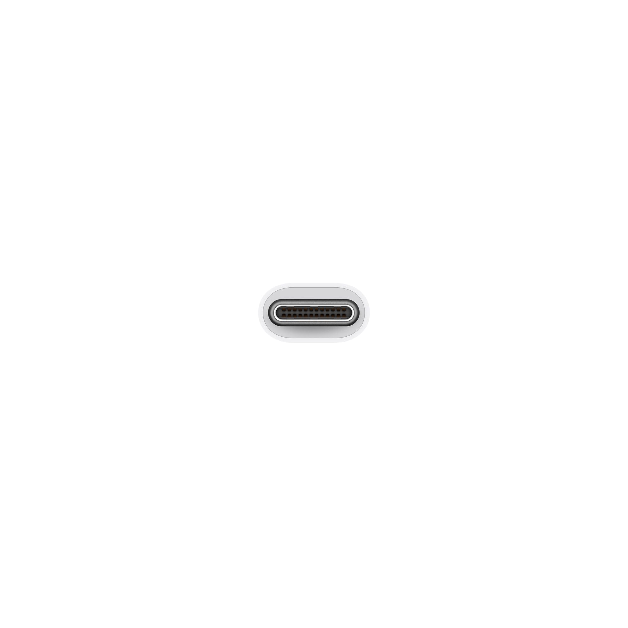 Apple adattatore da USB-C a USB per Mac e iPhone