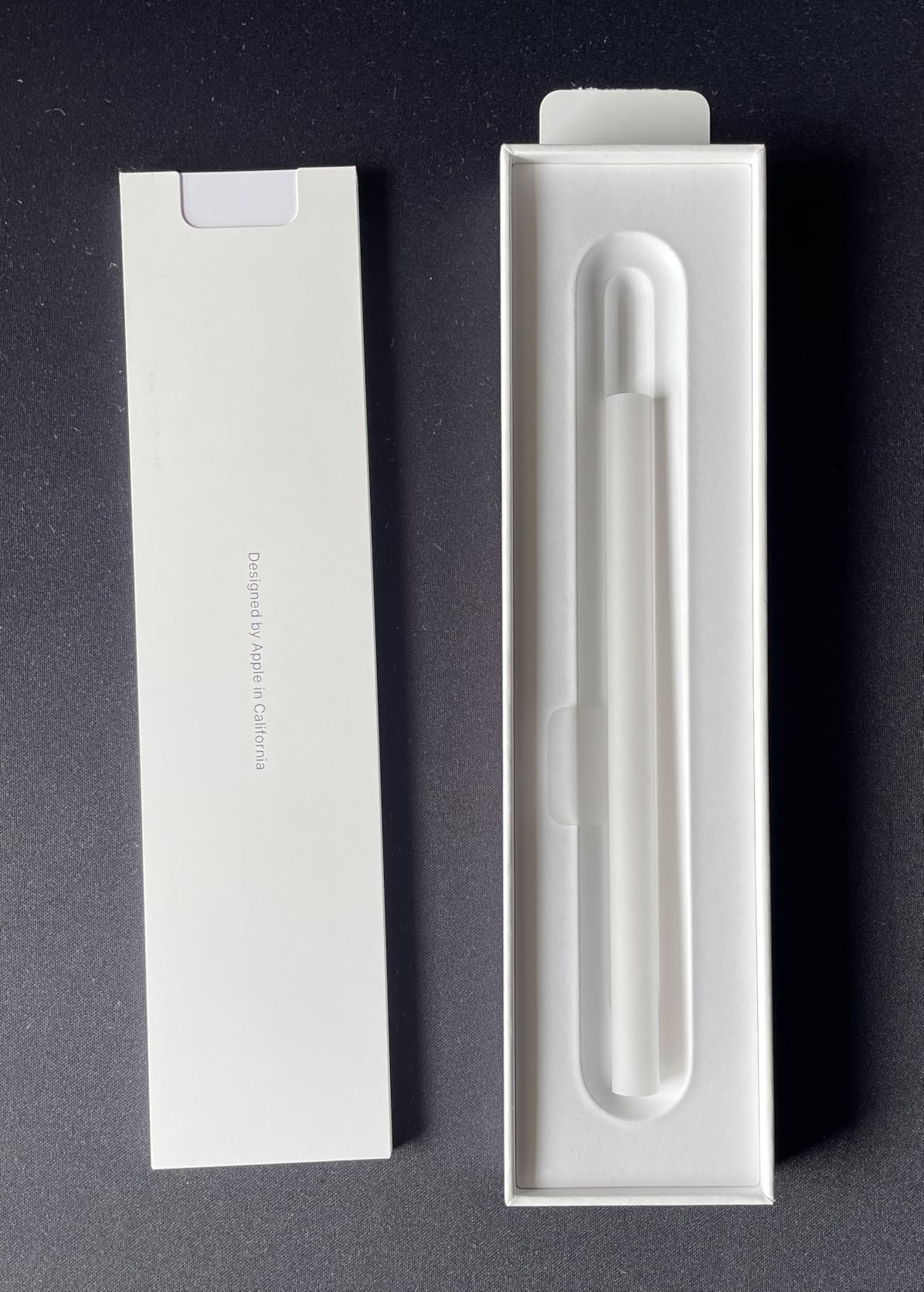 Apple Pencil Pro penna iPad ricarica wireless