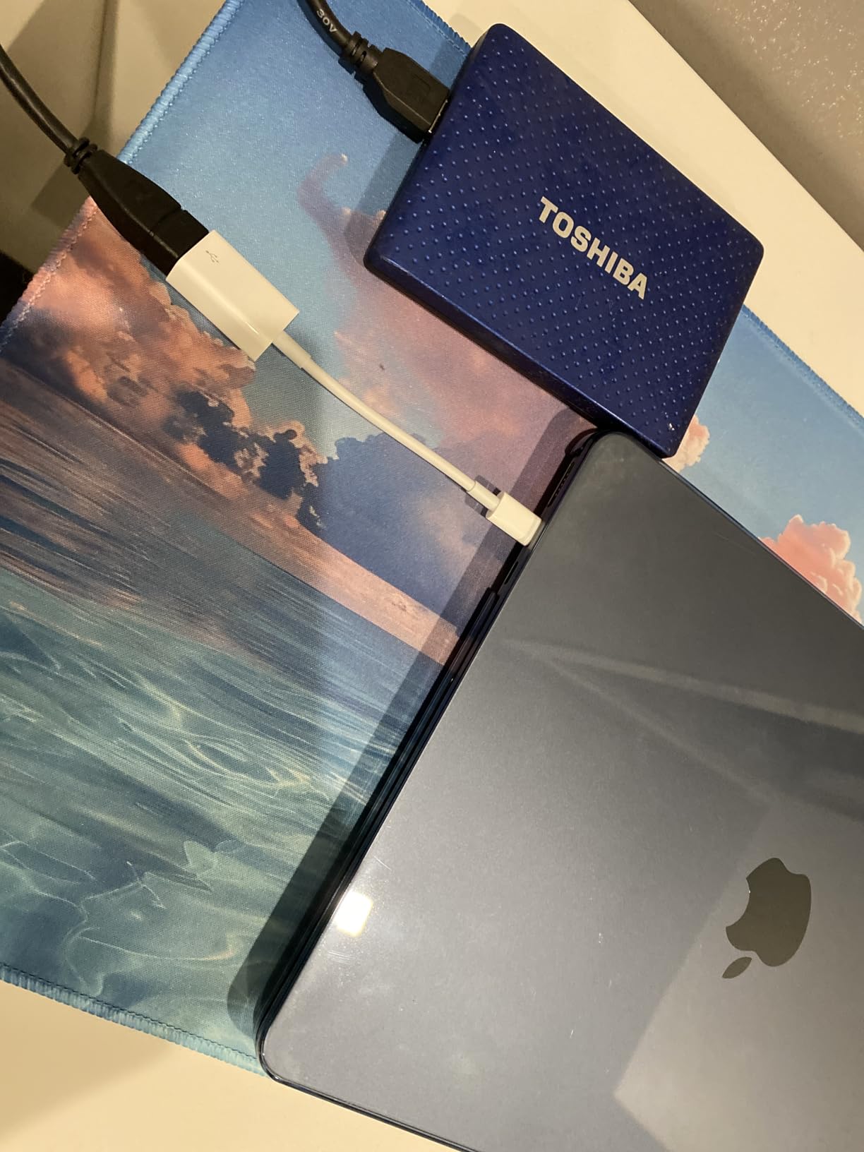 Apple adattatore da USB-C a USB per Mac e iPhone