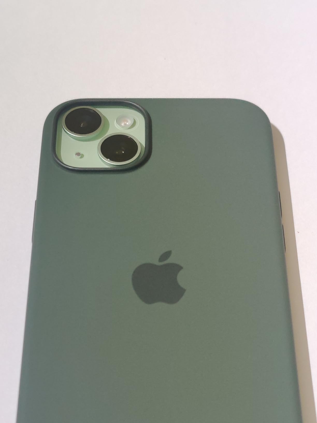 Apple Custodia MagSafe silicone iPhone 15 Plus cover cipresso